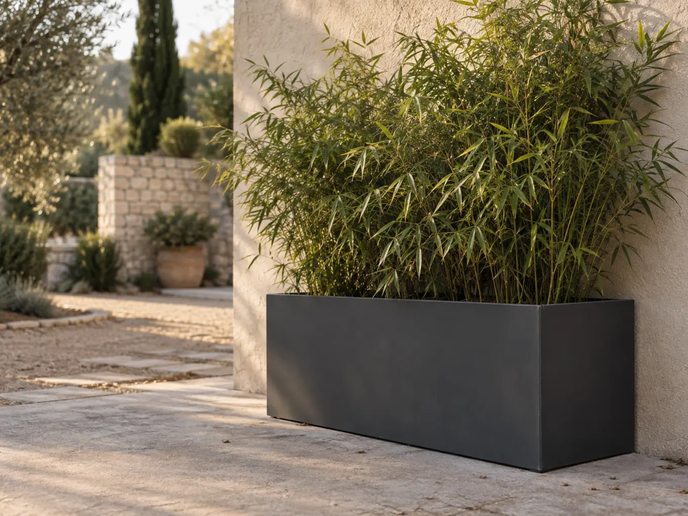 Vue d'artiste d'un bac rectangulaire en acier thermolaqué gris anthracite planté d'un bambou, dans une cour intérieure